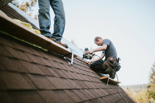 Quick and Trustworthy Emergency Roof Repair Services in Murrysville, PA
